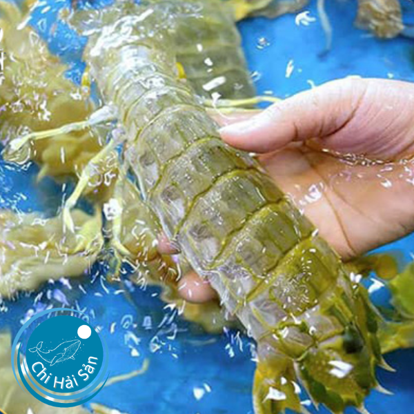 Tôm tít tươi được tuyển chọn